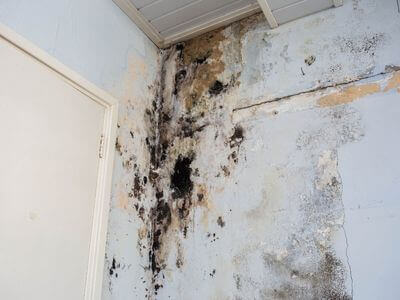 About Crawl Space Mold Remediation Canton - basement water damage restoration experts in Canton